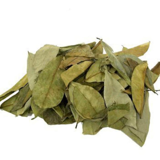 Soursop Leaves